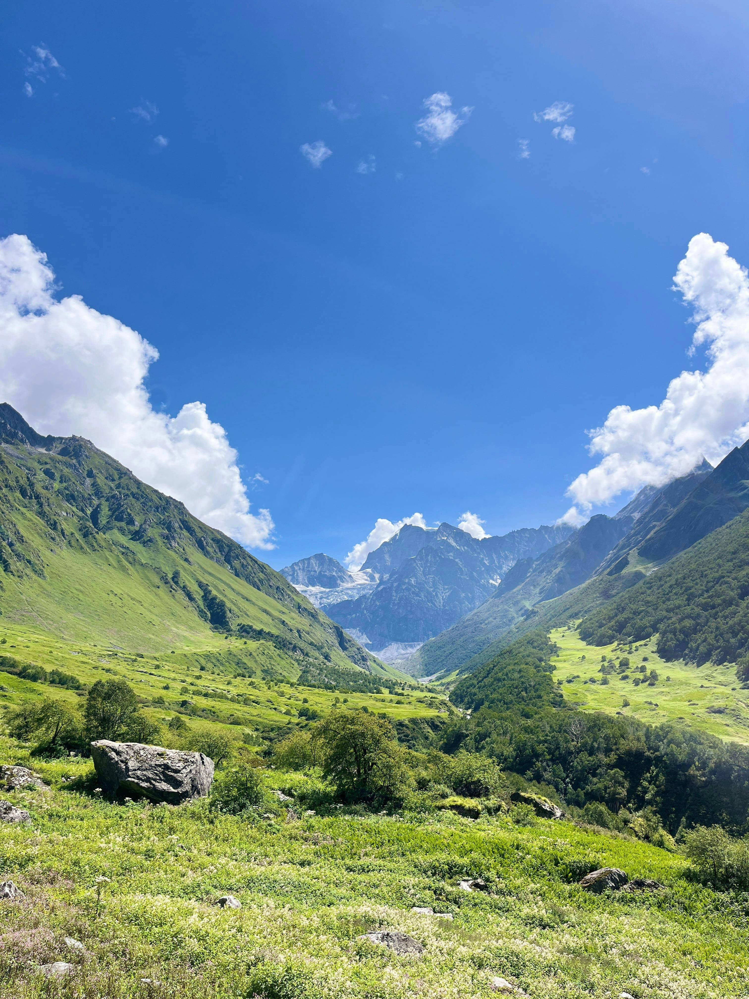 Valley of Flowers - A complete Guide image