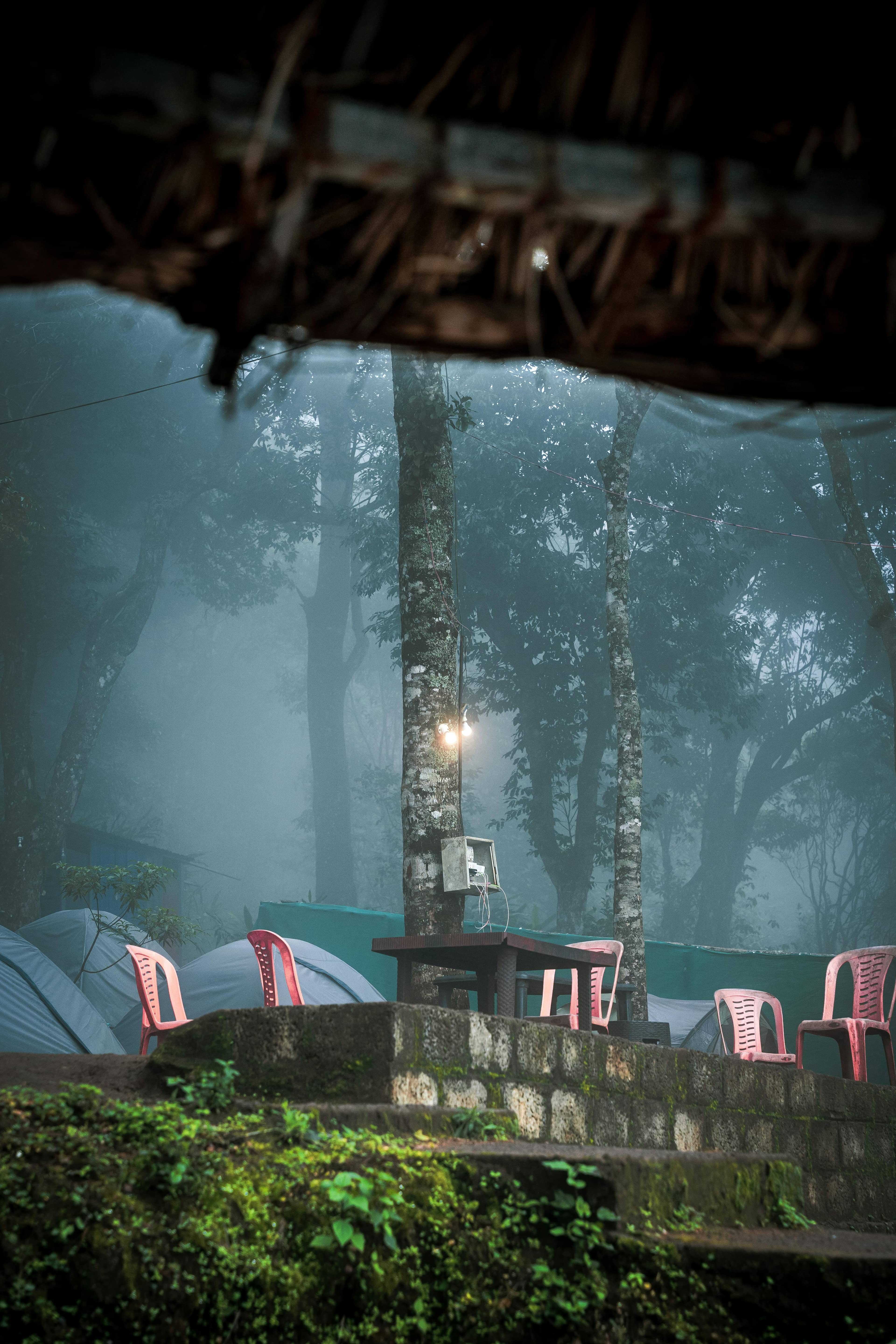 Mansoon Treks in Uttarakhand image