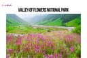 Valley of Flowers Travel Guide 2026 – Complete Guide for First‑Time Visitors - Featured Image
