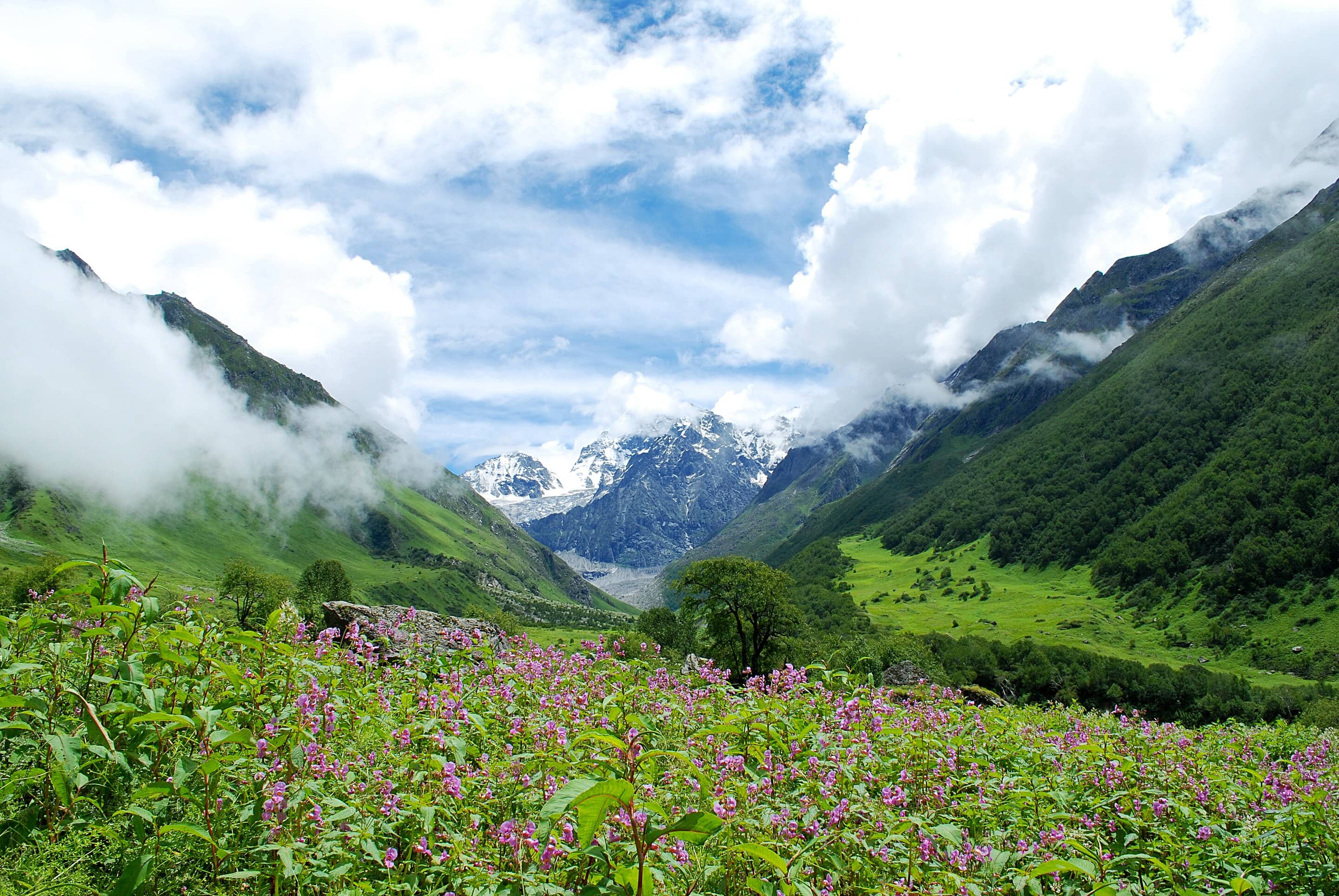 Kyarkoti Lake Trek